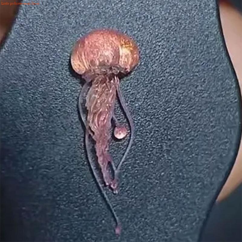 F92D creativo medusas moldes p - Art Craft Jellyfish reseña y precio